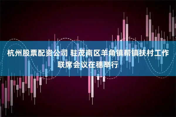 杭州股票配资公司 驻茂南区羊角镇帮镇扶村工作联席会议在穗举行