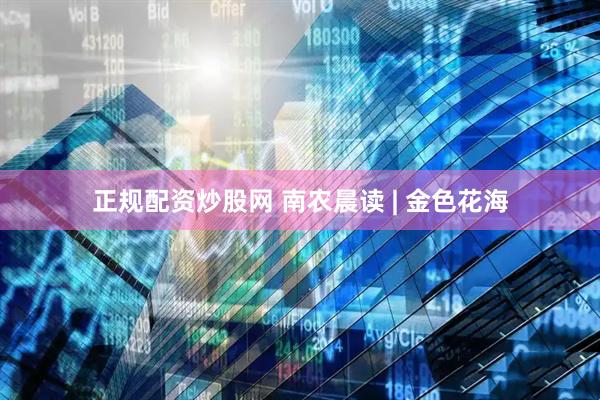 正规配资炒股网 南农晨读 | 金色花海