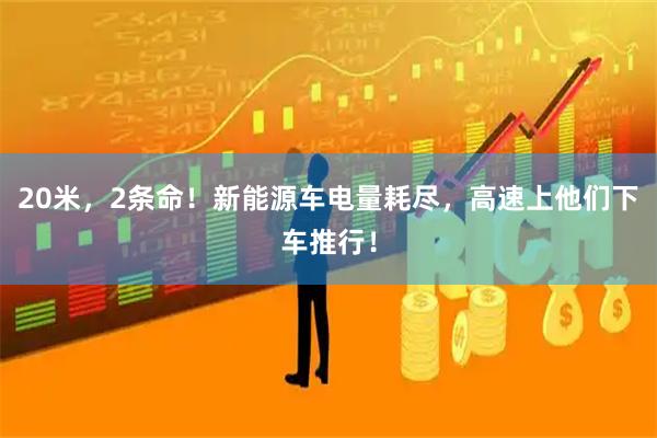 20米，2条命！新能源车电量耗尽，高速上他们下车推行！