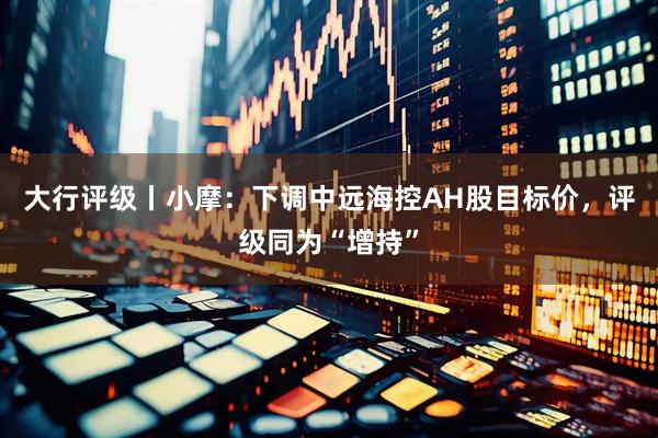 大行评级丨小摩：下调中远海控AH股目标价，评级同为“增持”