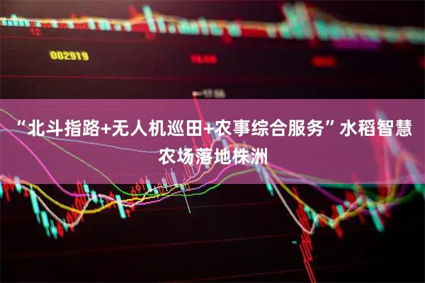 “北斗指路+无人机巡田+农事综合服务”水稻智慧农场落地株洲