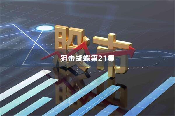 狙击蝴蝶第21集