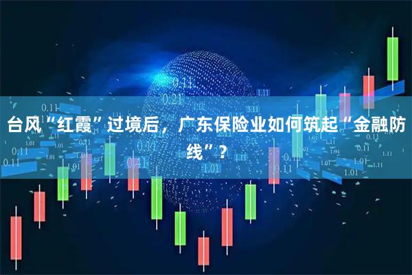 台风“红霞”过境后，广东保险业如何筑起“金融防线”？